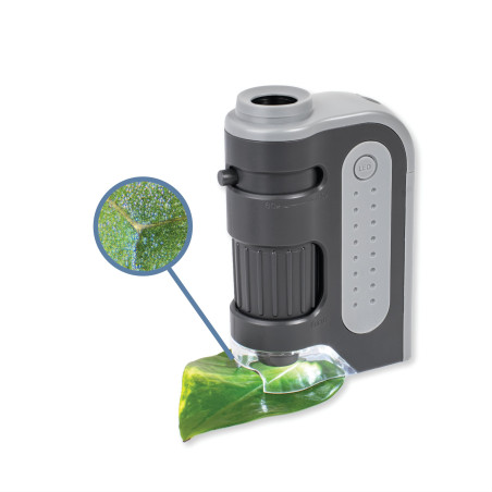 Carson MicroBrite Plus microscope de poche 60-120x éclairé par LED Jouet STEM | Microscope miniature pour laboratoire scientifiq