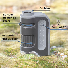 Carson MicroBrite Plus microscope de poche 60-120x éclairé par LED Jouet STEM | Microscope miniature pour laboratoire scientifiq
