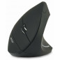 Acer Souris Verticale sans Fil WL Noire