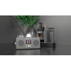 Pure Elan Connect+ Radio Internet stéréo avec DAB+ et Bluetooth 4.2 (Dab/Dab+, Radio FM, Radio Internet, écran TFT, 20 préréglag
