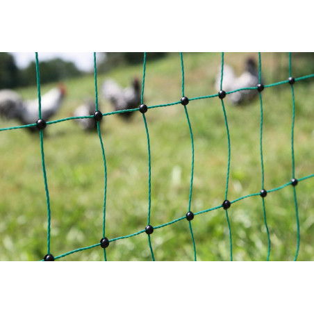PoultryNet, 106 cm, 50 m, Filet pour volaille, Filet de clôture, sans électricité, Double Pointe, Vert, 15 piquets, Poules, oies