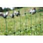 PoultryNet, 106 cm, 50 m, Filet pour volaille, Filet de clôture, sans électricité, Double Pointe, Vert, 15 piquets, Poules, oies PoultryNet, 106 cm, 50 m, Filet pour volaille, Filet de clôture, sans électricité, Double Pointe, Vert, 15 piquets, Poules, oies