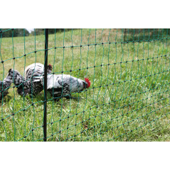 PoultryNet, 106 cm, 50 m, Filet pour volaille, Filet de clôture, sans électricité, Double Pointe, Vert, 15 piquets, Poules, oies