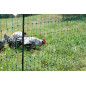 PoultryNet, 106 cm, 50 m, Filet pour volaille, Filet de clôture, sans électricité, Double Pointe, Vert, 15 piquets, Poules, oies PoultryNet, 106 cm, 50 m, Filet pour volaille, Filet de clôture, sans électricité, Double Pointe, Vert, 15 piquets, Poules, oies