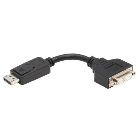 Eaton Tripp Lite DisplayPort vers DVI Adapter Cable Converter Extender, mâle-à-Femelle, résolution 1080p à HD, câble de 15, 24cm