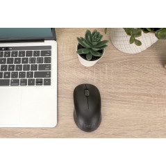 DIGITUS Souris Optique sans Fil 3D, 2,4 GHz, 1000 dpi, Noir