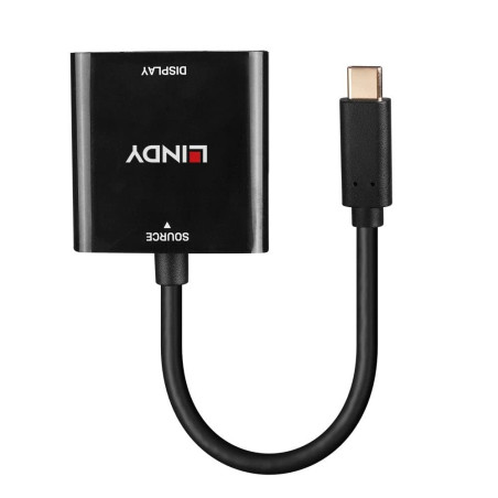 LINDY Convertisseur USB Type C vers DisplayPort 4K144