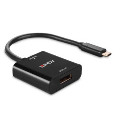 LINDY Convertisseur USB Type C vers DisplayPort 4K144