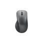 LENOVO Professional Bluetooth Mouse