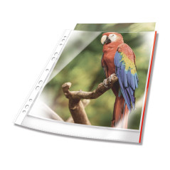 DURABLE - Pochettes perforées transparentes PREMIUM A4 à bords colorés - 25 pièces - Rouge - 265503