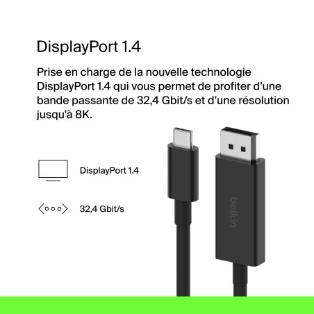 USB-C TO DP1.4 CABLE (2M)
