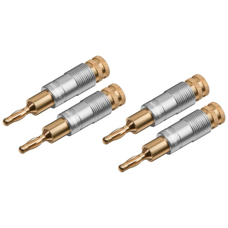 Clicktronic 53983 Casual Fiche Banane, Paquet de 4