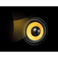Creative GigaWorks T40 Series II - Enceintes Multimédia PC 16 watts RMS par Canal (2 canaux) , noir
