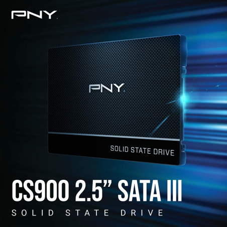 PNY CS900 SSD Interne SATA III, 2.5 Pouces, 250Go, Vitesse de Lecture jusqu'à 535MB/s