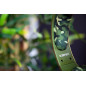 Konix Mythics Casque Gaming Filaire Nemesis PS4, PS5, Switch et Xbox - Microphone - Câble 1,5 m - Prise Jack 3,5 mm - Motif Camo Konix Mythics Casque Gaming Filaire Nemesis PS4, PS5, Switch et Xbox - Microphone - Câble 1,5 m - Prise Jack 3,5 mm - Motif Camo
