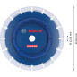 Bosch 1x Disques à tronçonner EXPERT Pipe Cut Wheel (Ø 230 mm, Professional Accessoire Grande meuleuse angulaire) Bosch 1x Disques à tronçonner EXPERT Pipe Cut Wheel (Ø 230 mm, Professional Accessoire Grande meuleuse angulaire)