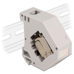 Delock Adaptateur Rail DIN avec Module Keystone RJ45 Femelle Cat.6A LSA