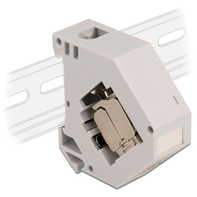 Delock Adaptateur Rail DIN avec Module Keystone RJ45 Femelle Cat.6A LSA Delock Adaptateur Rail DIN avec Module Keystone RJ45 Femelle Cat.6A LSA