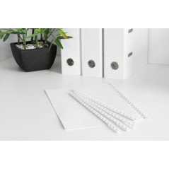 Genie - 12381 reliure plastique - 12 mm, 25 pièces, format a4 compatibles avec toutes les relieuses blanc