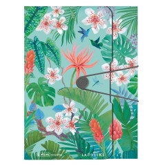 Boîte de collection A4 PP Ladylike Jungle