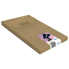 Epson 502XL Série Jumelles Cartouches d'imprimante à Jet d'encre, Taille XL, Impression fiable pour la Maison/Le Bureau, Emballa