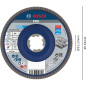 Bosch 1x Plateau à lamelles PRO Metal X571, version bombée pour X-Lock (pour Acier, Acier inoxydable, Ø 125 mm, Grain 60, Profes Bosch 1x Plateau à lamelles PRO Metal X571, version bombée pour X-Lock (pour Acier, Acier inoxydable, Ø 125 mm, Grain 60, Profes