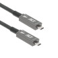ACT Câble optique actif USB C 3.2 Gen2 10 Gbps haute vitesse pour vidéoconférence Smartboard AK4307 7,5 m ACT Câble optique actif USB C 3.2 Gen2 10 Gbps haute vitesse pour vidéoconférence Smartboard AK4307 7,5 m