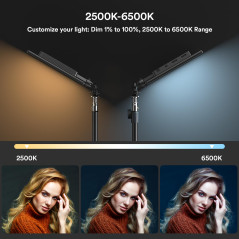 RALENO Lampes Vidéo LED 2-Pack, Panneau Vidéo 192 LED, avec Trépied réglable 180cm, Sac à main, Luminosité bicolore 2500-6500K, 