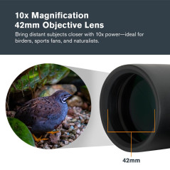 Celestron 71347 Outland X 10x42 Roof Prism Binoculars, Black