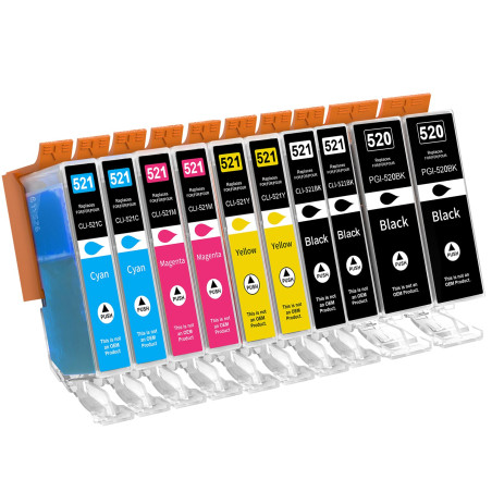 Jhaan Cartouches d'encre compatibles 520 521 XL pour Canon PGI-520 CLI-521 avec Canon Pixma MX870 MP540 MP540x MP550 MP560 MP620