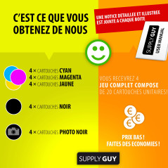 Supply Guy 20 Cartouches d'encre avec Puce Compatible avec Canon PGI-550 / CLI-551 pour Pixma IP7200 IP7250 IX6850 MG5450 MG5500