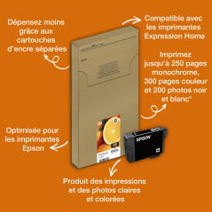 Epson 33 Black Oranges, Genuine, Claria Premium Ink