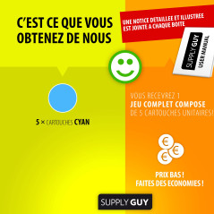 Supply Guy 5 Cartouches d'encre Compatible avec HP 364 XL / CB323EE (Cyan)