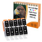 Starlet24 Cartouches d'encre compatibles avec Canon PGI-550 PGBK pour Pixma IP7250 IP8750 IX6850 MG5450 MG5550 MG5650 MG5655 MG6 Starlet24 Cartouches d'encre compatibles avec Canon PGI-550 PGBK pour Pixma IP7250 IP8750 IX6850 MG5450 MG5550 MG5650 MG5655 MG6