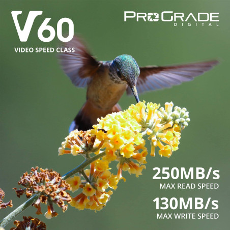 Carte SD UHS-II 128Go V60 - Vitesse d'écriture jusqu'à 130Mo/s et Vitesse de Lecture 250Mo/s | pour Les Professionnels, cinéaste