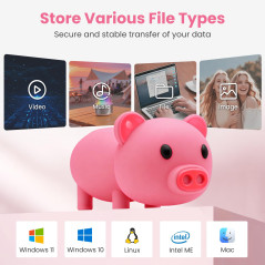 Clé USB 32 Go avec Modèle Porcelet Rose Mignon, BorlterClamp USB Mémoire Sticks Pendrive Cadeau pour Étudiants et Enfants