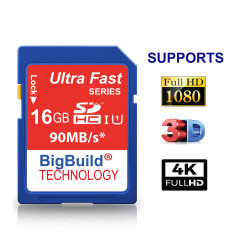 BigBuild Technology Carte mémoire SD SDHC pour Appareil Photo Canon PowerShot SX500 is 16 Go
