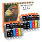 D&C 12x Cartouches d'encre compatibles pour Canon PGI-520 CLI-521 pour Canon Pixma IP3600 IP4600 IP4600X IP4700 MP540 MP550 MP56