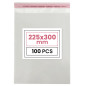 Netuno 100 sachets plats en PP 22,5 x 30 cm sachets plastiques transparents en polypropylène emballages d'envoi sacs plastiques 