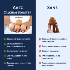 Chick'N Deluxe® Calcium Booster 4Kg. Coquille huitre Poules pondeuse. Produit minéral Naturel Riche en Calcium, stimule la Ponte