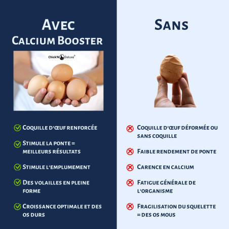 Chick'N Deluxe® Calcium Booster 4Kg. Coquille huitre Poules pondeuse. Produit minéral Naturel Riche en Calcium, stimule la Ponte