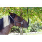 KERBL Support de Pierre à Lécher 322705/06/07/09 pour Élevage/Agriculture Urbaine Noir KERBL Support de Pierre à Lécher 322705/06/07/09 pour Élevage/Agriculture Urbaine Noir