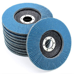 FD-Workstuff Ensemble de 10 Compartiments Disques Abrasifs en Inox de 125 mm, Grain 40, Couleur Bleu - Des Disques à Lamelles de