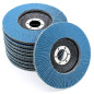 FD-Workstuff Ensemble de 10 Compartiments Disques Abrasifs en Inox de 125 mm, Grain 40, Couleur Bleu - Des Disques à Lamelles de FD-Workstuff Ensemble de 10 Compartiments Disques Abrasifs en Inox de 125 mm, Grain 40, Couleur Bleu - Des Disques à Lamelles de