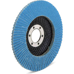 FD-Workstuff Ensemble de 10 Compartiments Disques Abrasifs en Inox de 125 mm, Grain 40, Couleur Bleu - Des Disques à Lamelles de