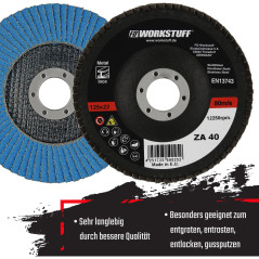 FD-Workstuff Ensemble de 10 Compartiments Disques Abrasifs en Inox de 125 mm, Grain 40, Couleur Bleu - Des Disques à Lamelles de
