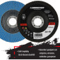 FD-Workstuff Ensemble de 10 Compartiments Disques Abrasifs en Inox de 125 mm, Grain 40, Couleur Bleu - Des Disques à Lamelles de FD-Workstuff Ensemble de 10 Compartiments Disques Abrasifs en Inox de 125 mm, Grain 40, Couleur Bleu - Des Disques à Lamelles de