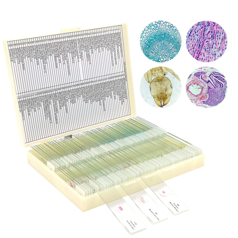 Lot de 120 lames de microscope préparées avec spécimens pour enfants et adultes Lot de 120 lames de microscope préparées avec spécimens pour enfants et adultes