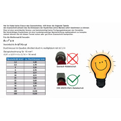 EBROM Câble de batterie rouge H07V-K 16 mm² - 3 m - 99,9% cuivre OFC - 3 m (3M) 16 mm²