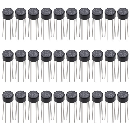 The Lord of the Tools 30pcs 2W10 2A 1000V Diodes Redresseur en Pont Axiales 1000 Volts Pleine Onde Silicone Pont Diodes Redresse